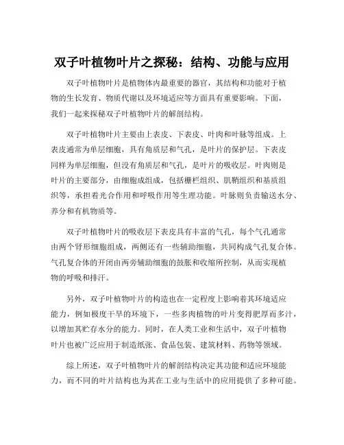 简述双子叶植物叶片的解剖结构