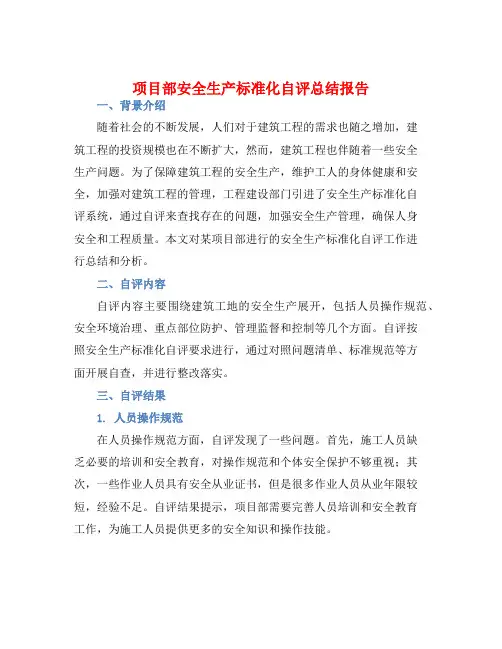 项目部安全生产标准化自评总结报告