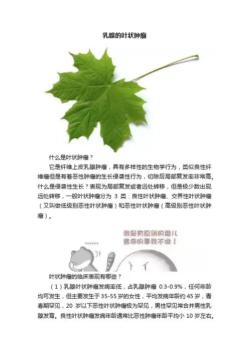 乳腺的叶状肿瘤
