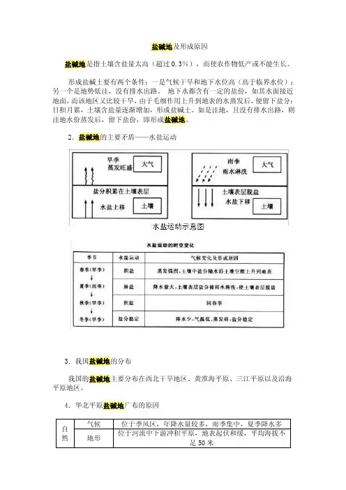 盐碱地及形成原因