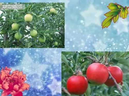 中学生早恋教学课件