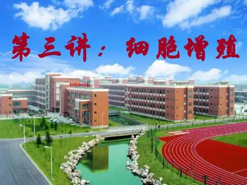 细胞 增殖高三一轮复习