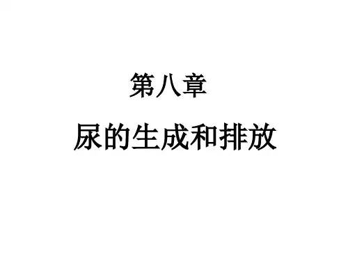 第八章 尿的生成与排放
