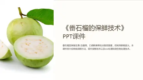 《番石榴的保鲜技术》课件