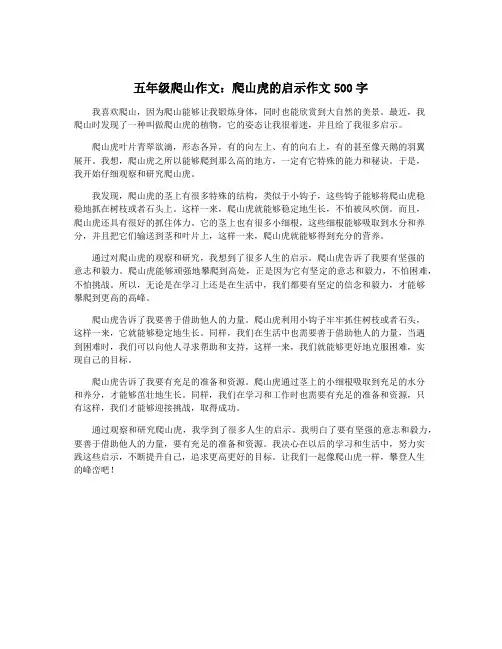 五年级爬山作文：爬山虎的启示作文500字