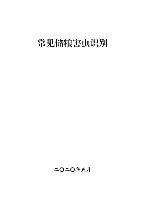 常见储粮害虫识别