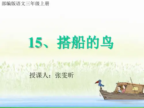 《搭船的鸟》PPT优秀课件