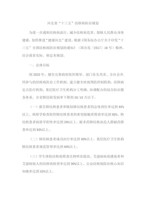 河北省“十三五”结核病防治规划