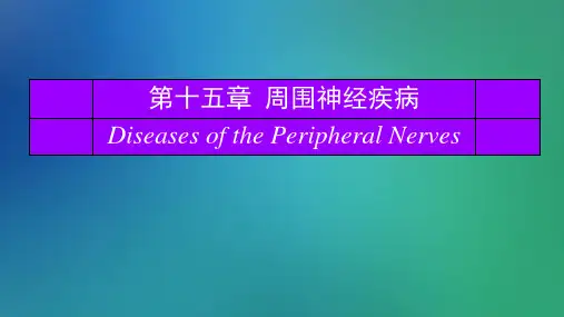 周围神经疾病