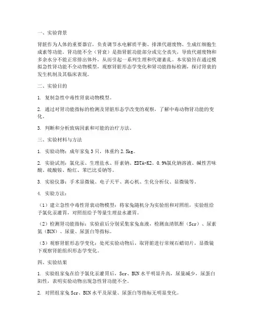 机能实验报告_肾衰
