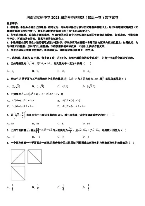 河南省实验中学2025届高考冲刺押题(最后一卷)数学试卷含解析