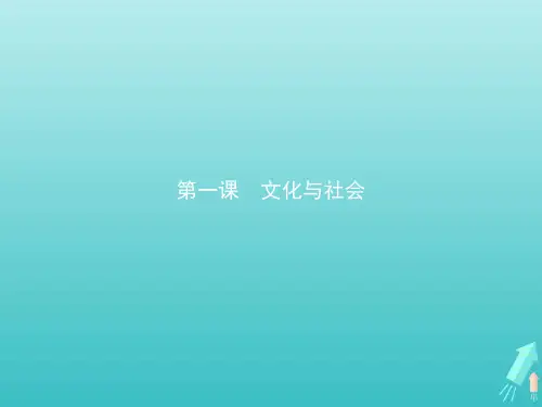 高中政治第一单元第一课第一框体味文化课件新人教版必修3