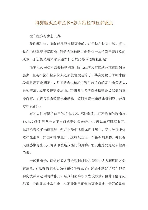 狗狗驱虫拉布拉多-怎么给拉布拉多驱虫