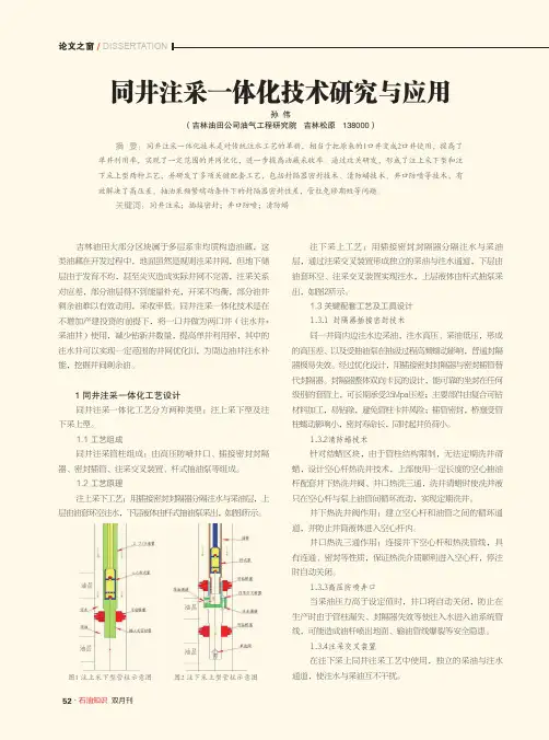 同井注采一体化技术研究与应用
