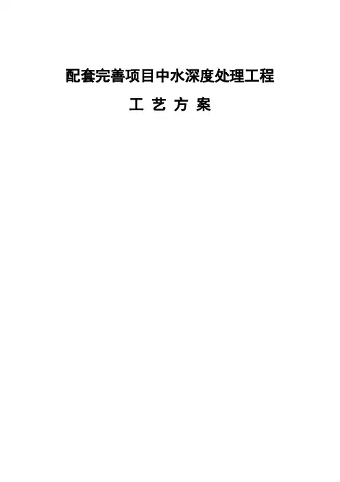 5深度处理除盐水工艺方案h