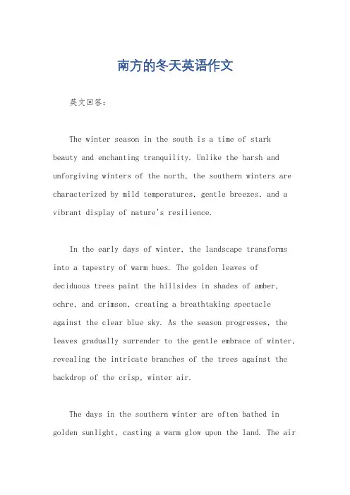 南方的冬天英语作文