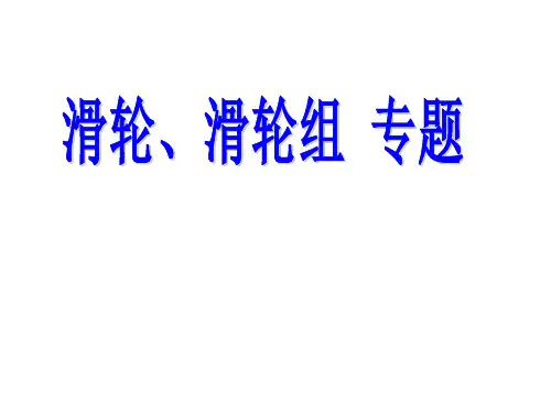 滑轮组    专题 (含答案)