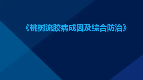 桃树流胶病成因及综合防治