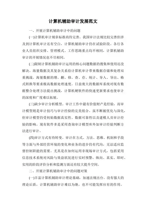 计算机辅助审计发展范文