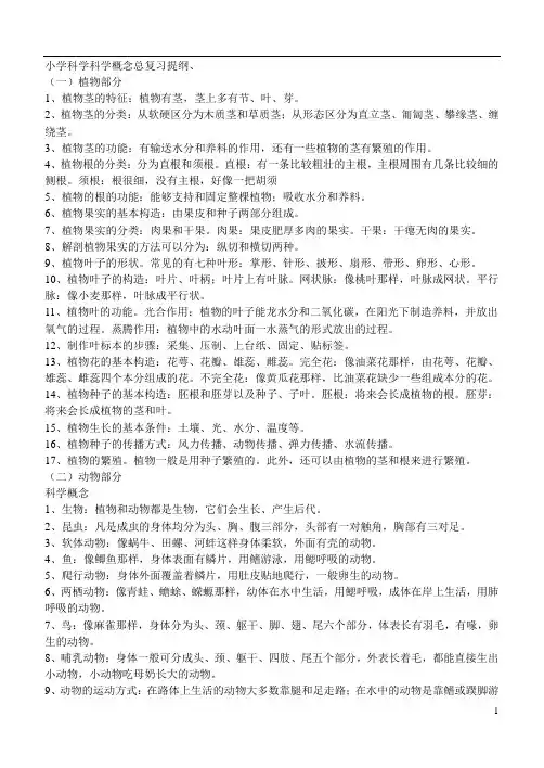 小学粤教版科学科学概念总复习提纲