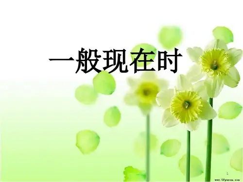 一般现在时语法总结 PPT