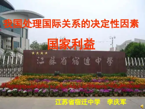 我国处理国际关系的决定性因素PPT参考