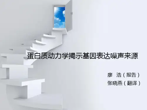 蛋白质动力学揭示基因表达噪声来源