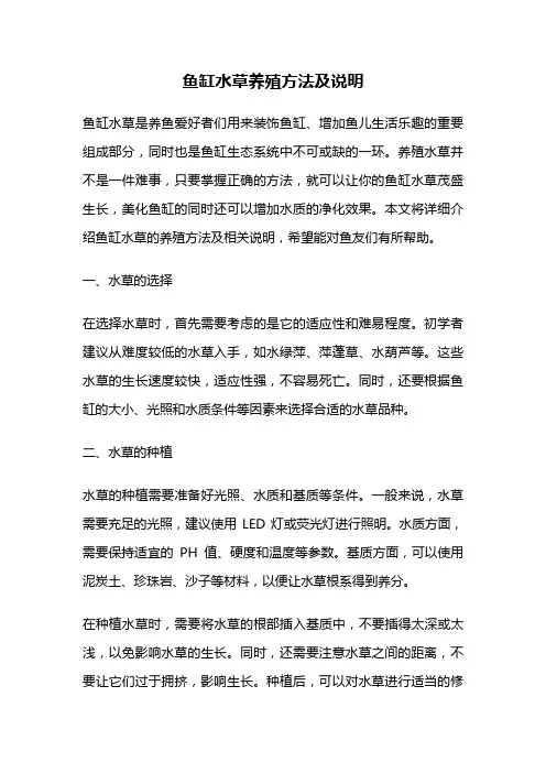 鱼缸水草养殖方法及说明