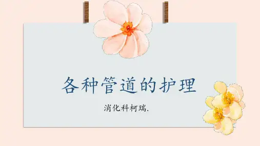 各种导管的护理PPT课件