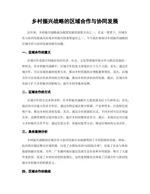 乡村振兴战略的区域合作与协同发展