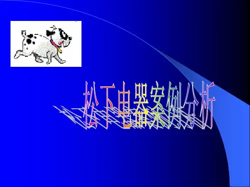 管理学案例-松下电器案例分析