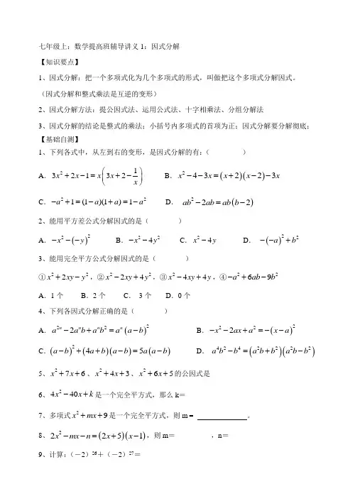 讲义1：因式分解