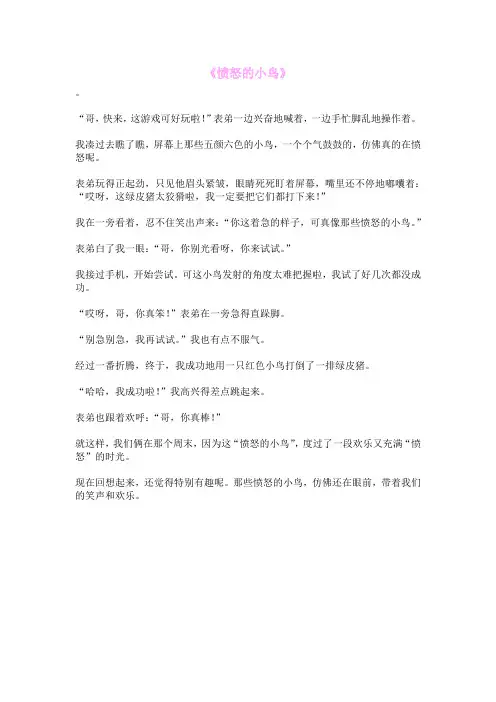 《愤怒的小鸟》