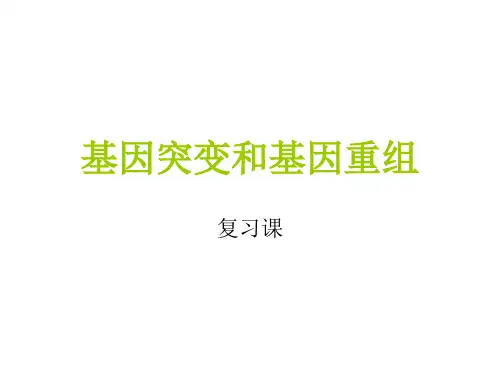 一轮复习基因突变和基因重组