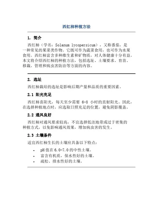 西红柿种植方法