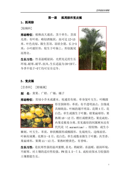 小学五年级校本课程教材《认识植物》