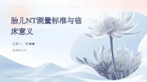 胎儿nt测量标准与临床意义ppt演示课件