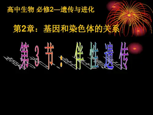 必修2第二章第三节-伴性遗传