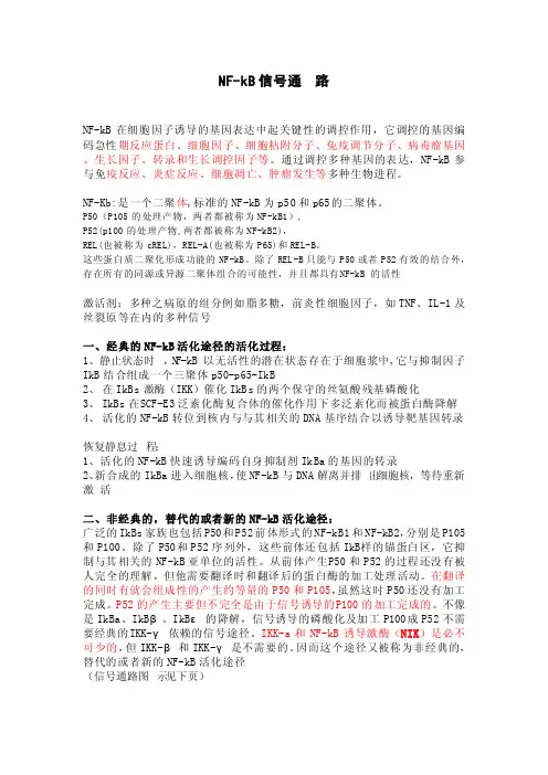 NF-kB信号通路（图文）