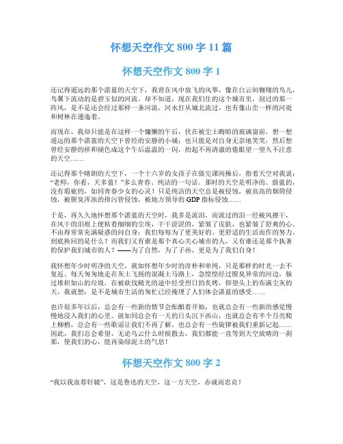 怀想天空作文800字11篇