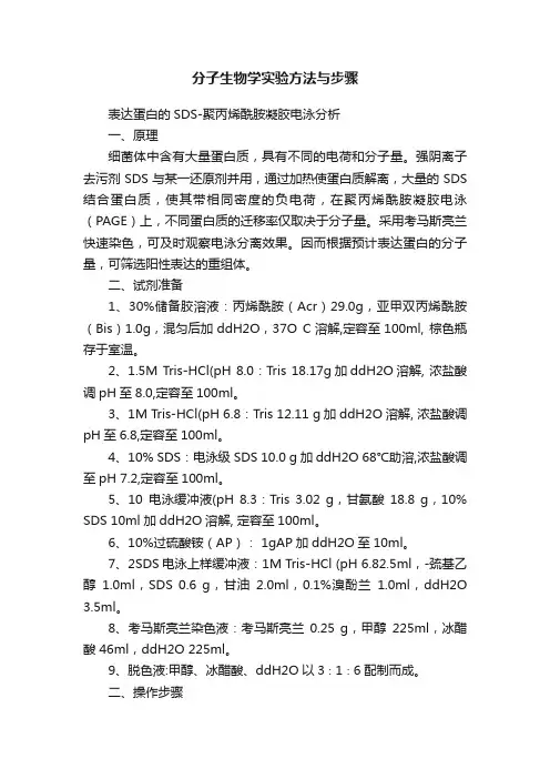 分子生物学实验方法与步骤