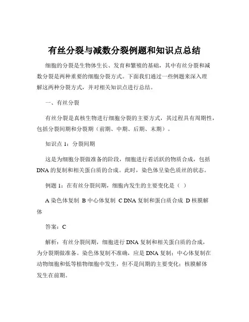 有丝分裂与减数分裂例题和知识点总结