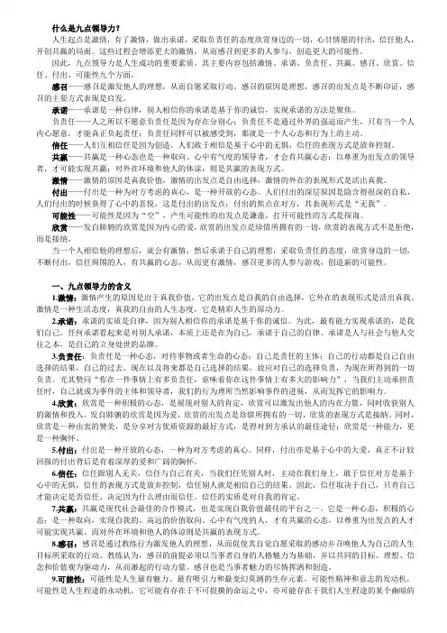 什么是九点领导力