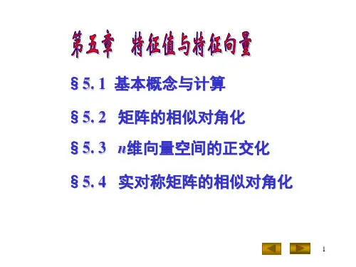 特征值与特征向量6.ppt