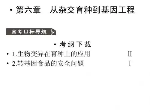 人教版教学课件2011高考生物一轮复习课件：杂交育种与诱变育种基因工程及其应用ppt