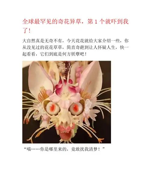 全球最罕见的奇花异草,第1个就吓到我了!