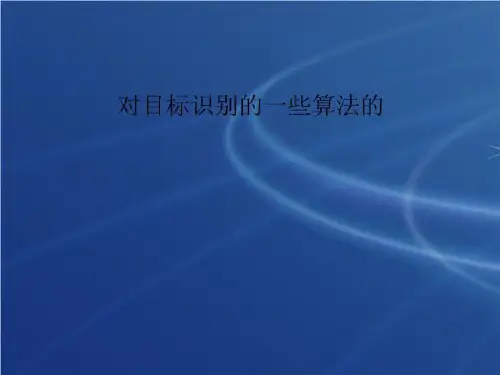 对目标识别的一些算法的-PPT课件