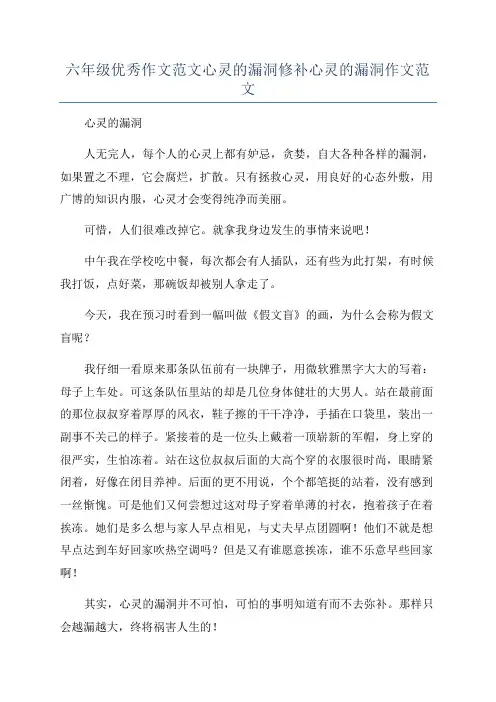 六年级优秀作文范文心灵的漏洞修补心灵的漏洞作文范文