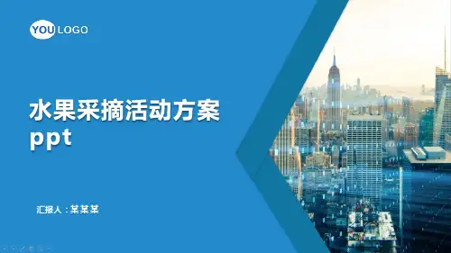 水果采摘活动方案 ppt