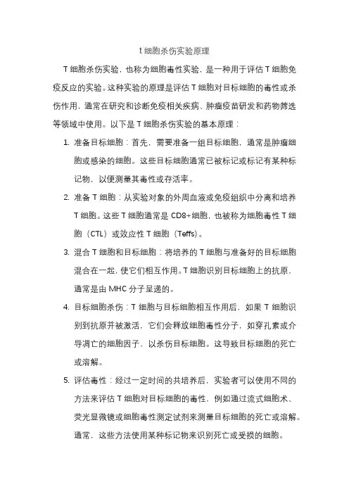 t细胞杀伤实验原理